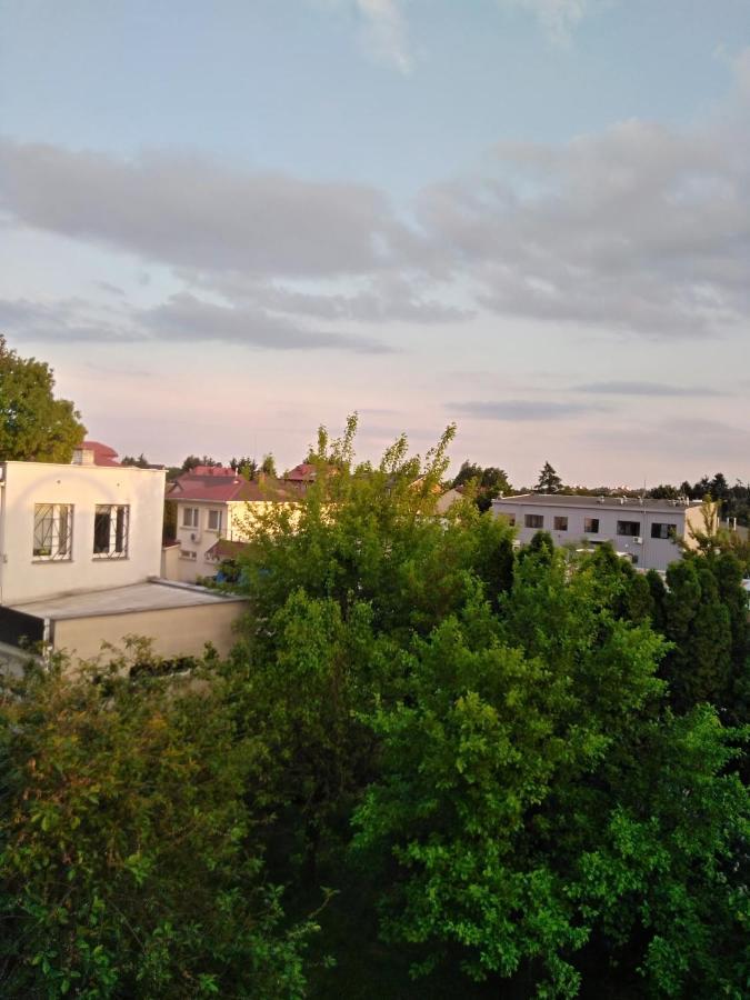 La Madriguera Bed and Breakfast Raszyn Eksteriør billede